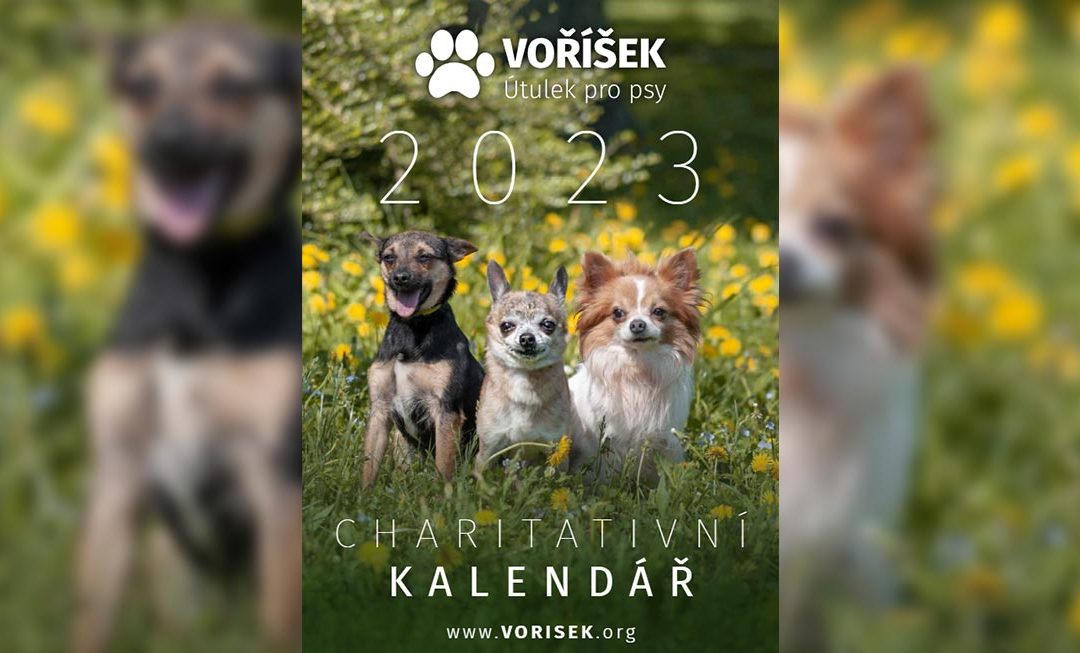 Voříšek 2023 – charitativní kalendář s fotkami naší studentky