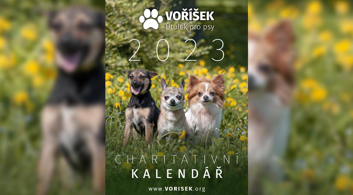 Voříšek 2023 – charitativní kalendář s fotkami naší studentky