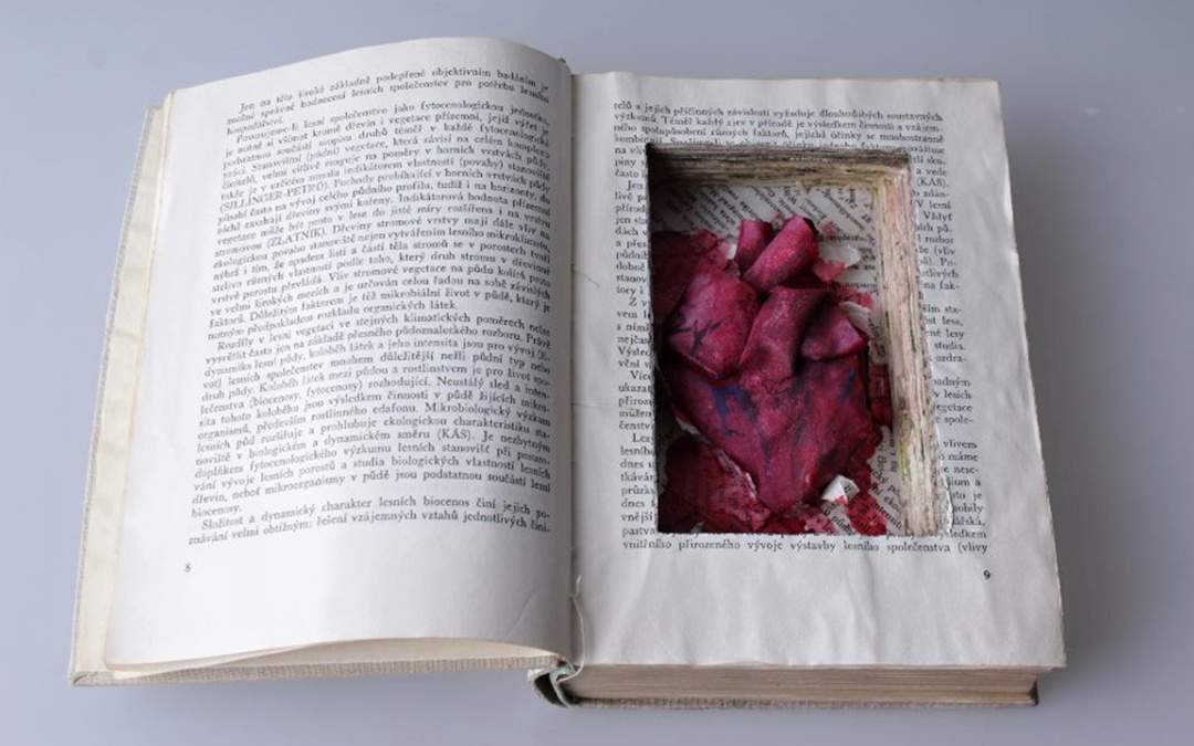 Portfolio Studentu 071