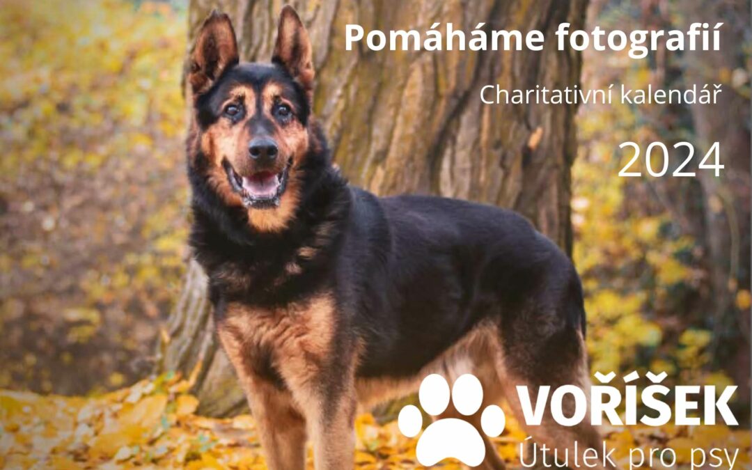 Voříšek 2024 – charitativní kalendář s fotkami naší studentky VOŠ Terezy Rozehnalové
