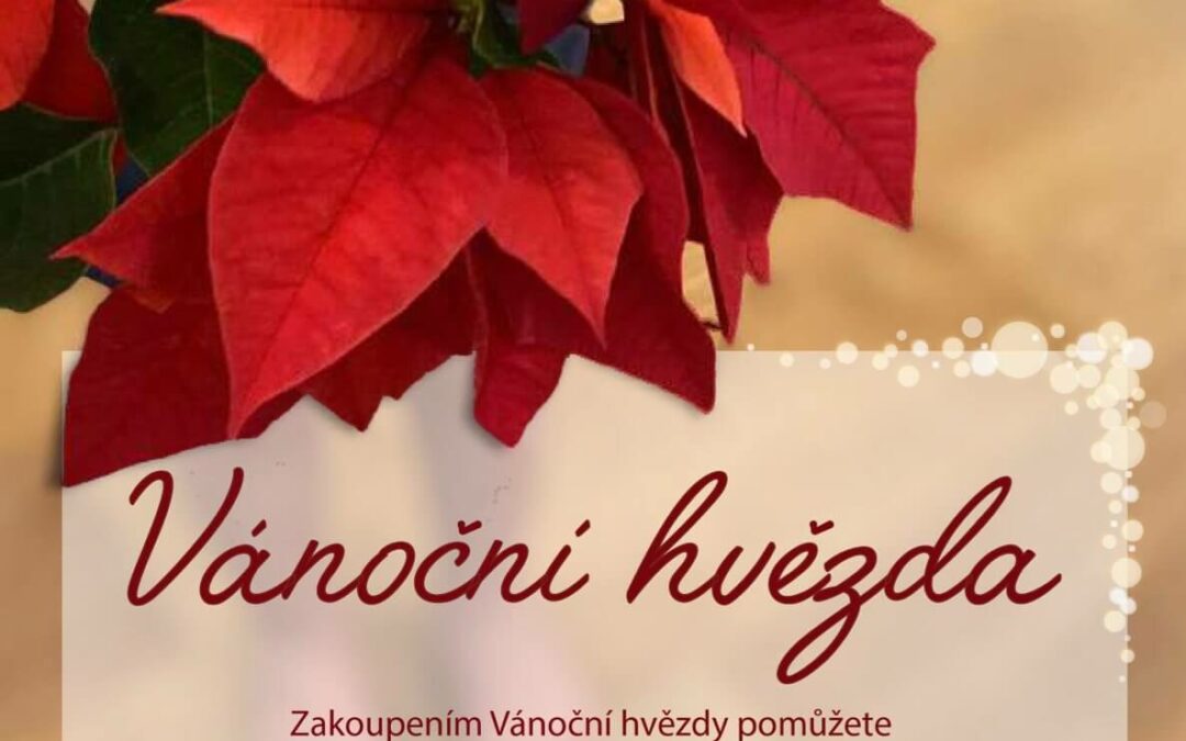 Vánoční hvězda 2023 – Sbírka ŠANCE OLOMOUC