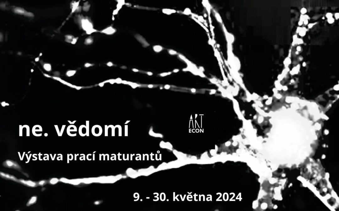 Prozkoumejte ne.vědomí: výstava maturantů ART ECON odhaluje skryté světy