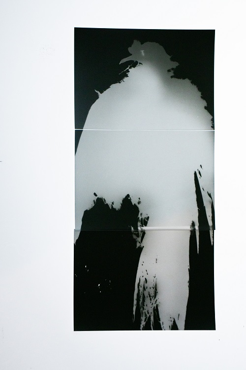 Fotogramy 2FG 2324 3