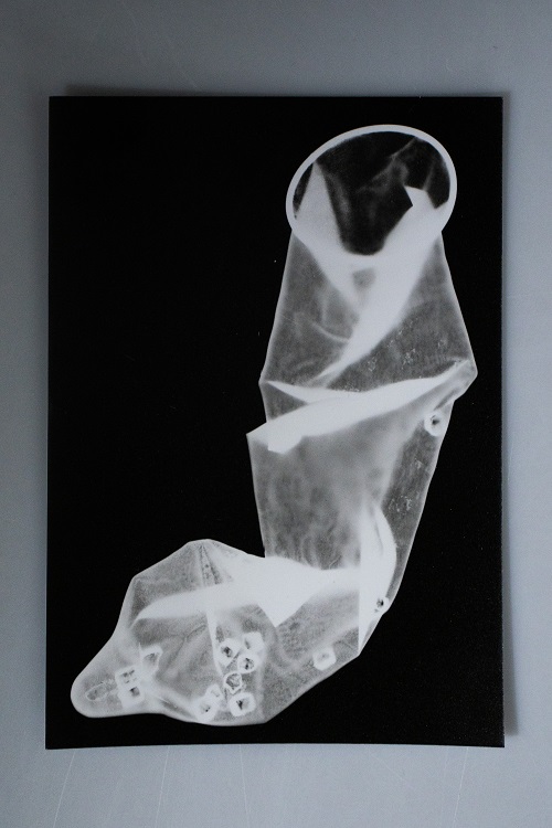 Fotogramy 2FG 2324 8
