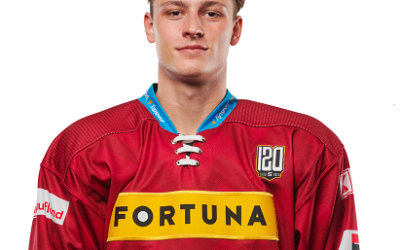Petr Hauser