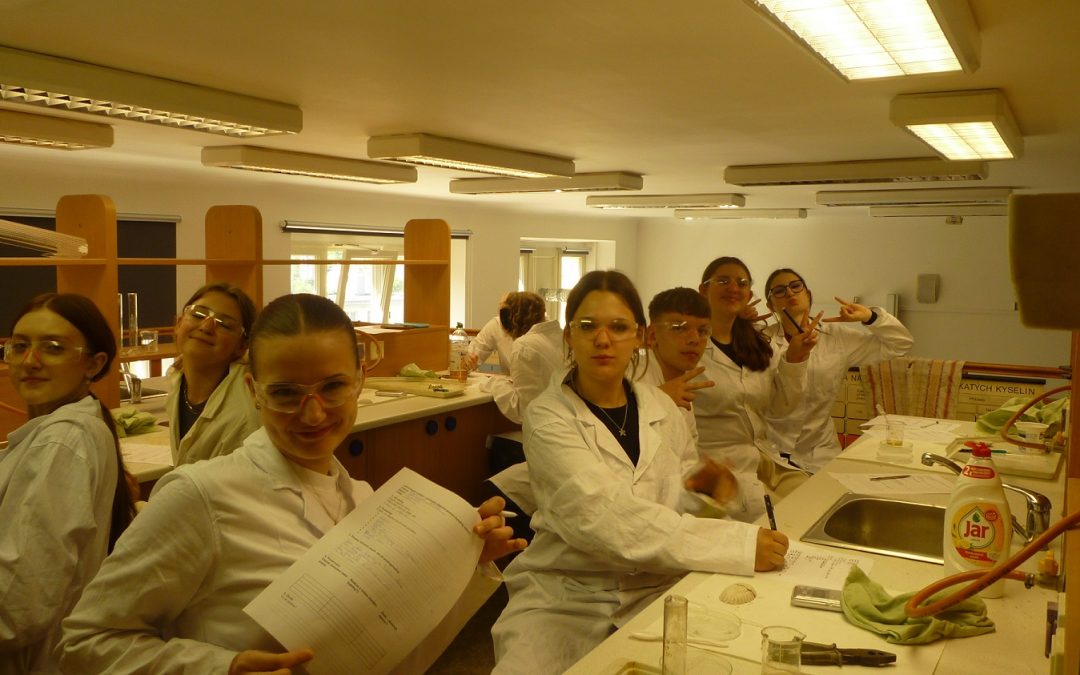 Chemie v praxi